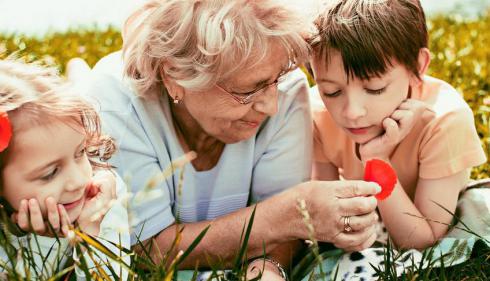Какими правами наделены бабушки в отношении внуков